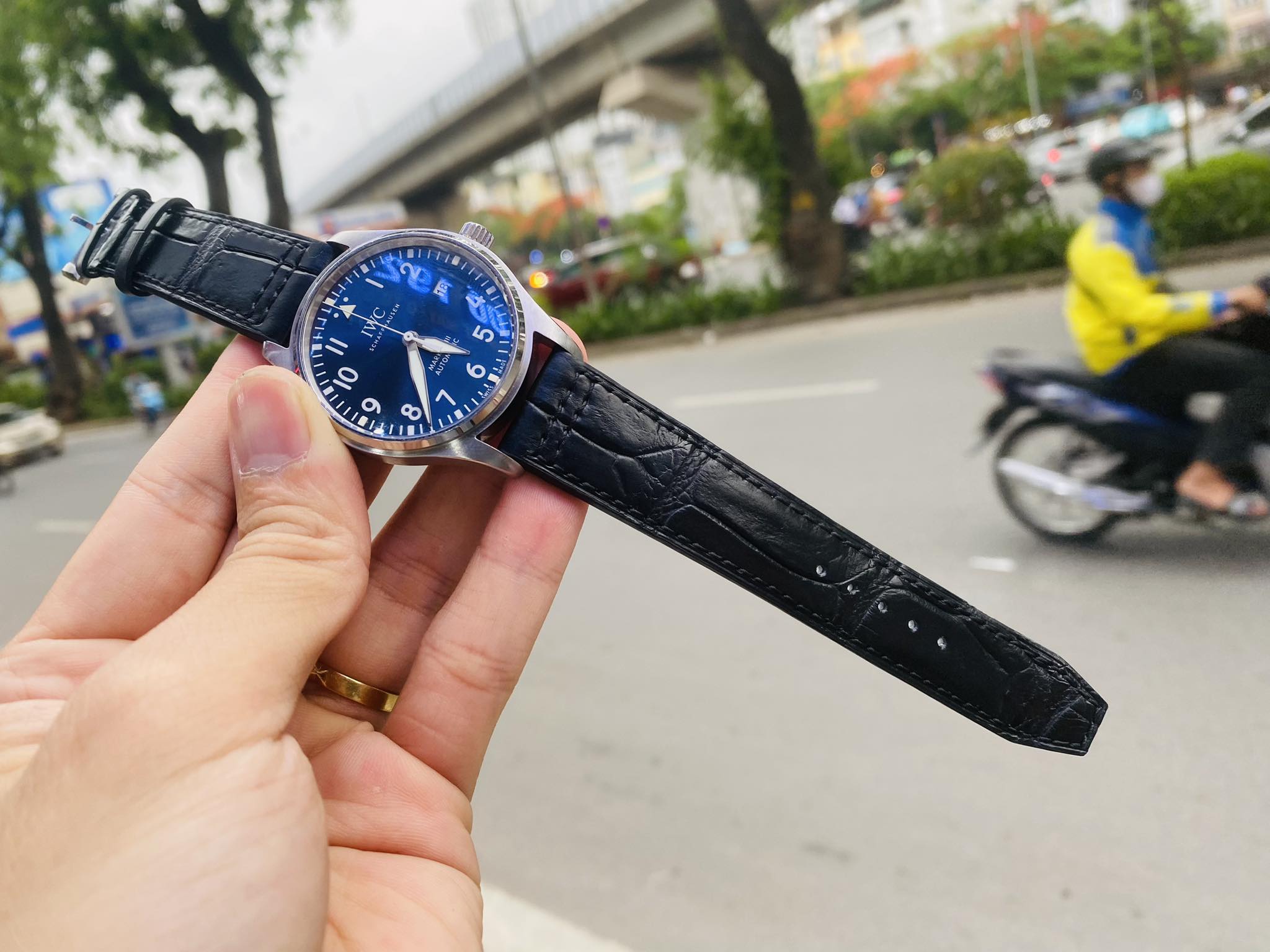 Mẫu cá sấu xanh navy cho đồng hồ cao cấp IWC Schaffhausen